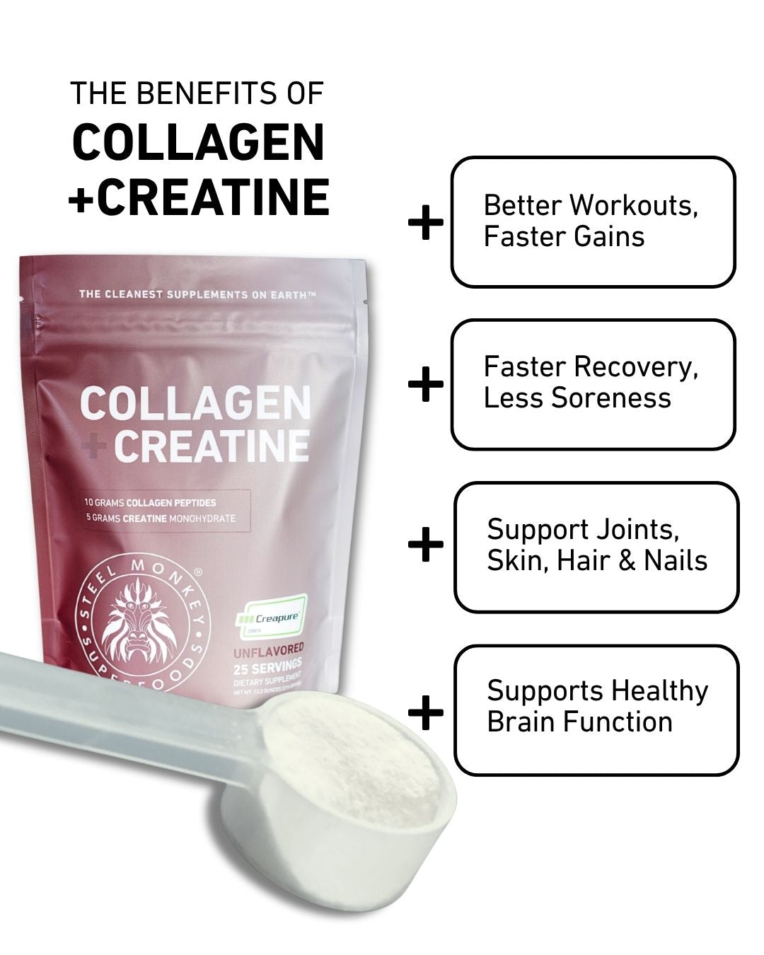 Collagen + Creatine