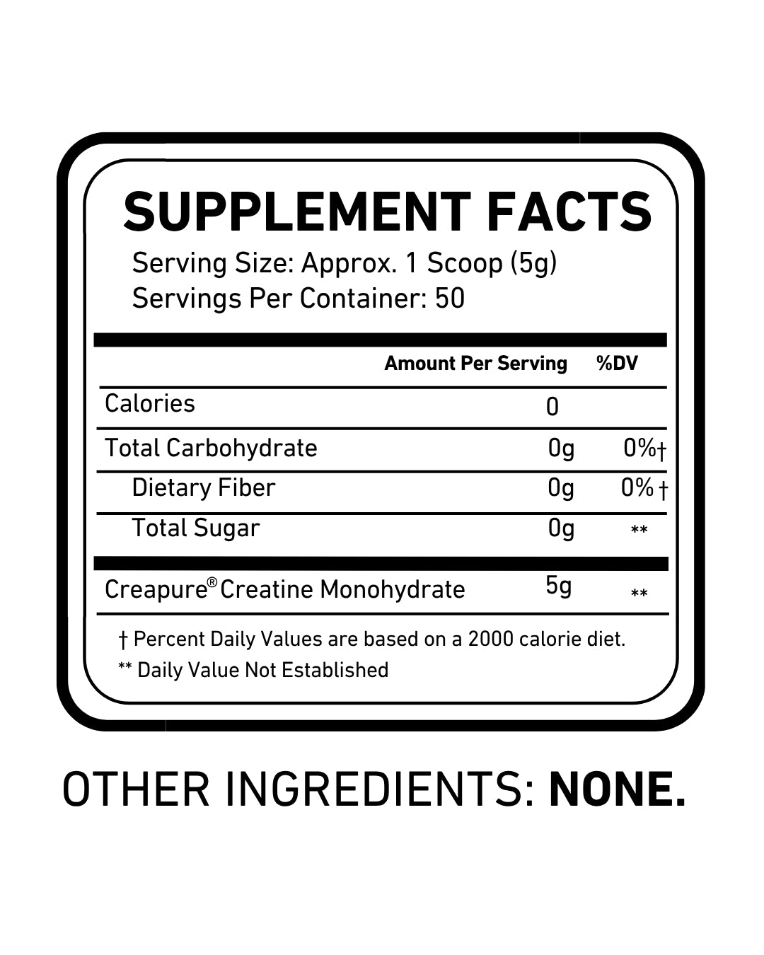 Ultimate Starter Bundle