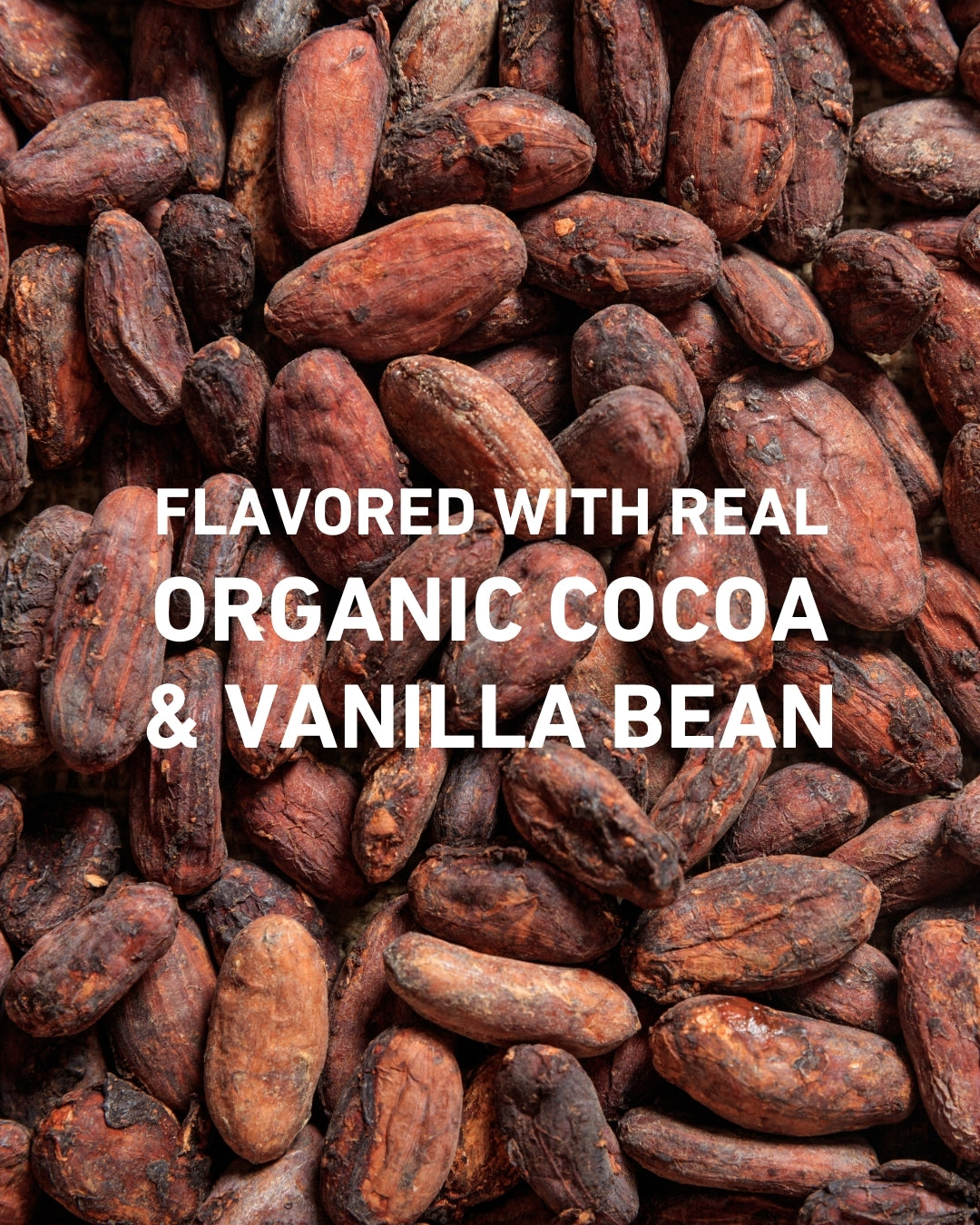 Grit Ultra-Clean Vegan Protein Chocolate Vanilla Bean