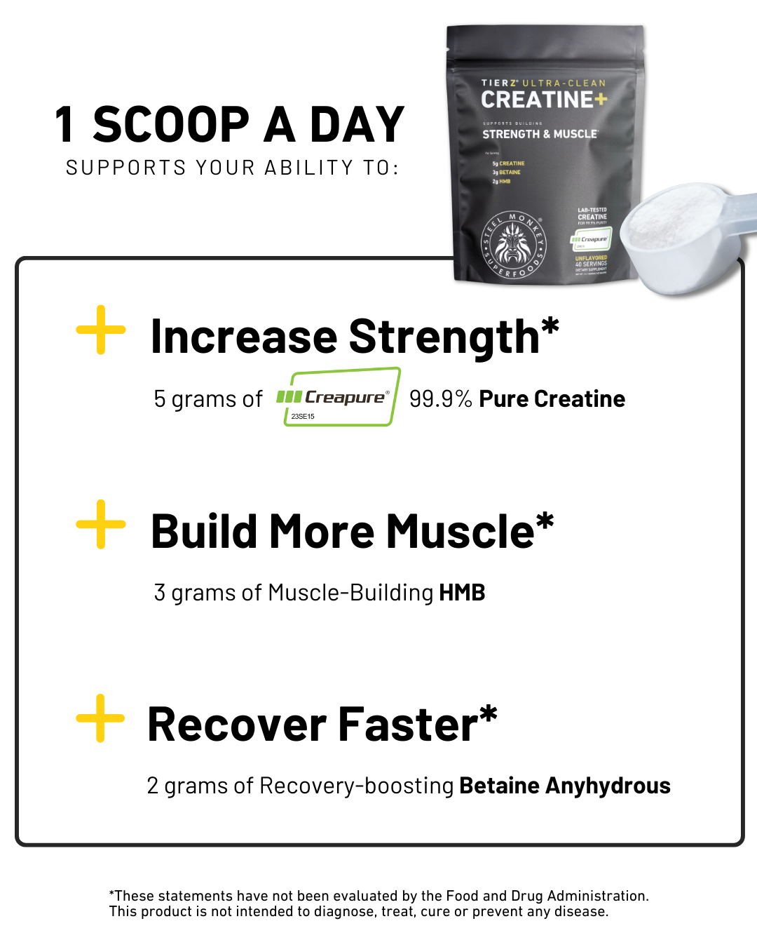 Tierz® Creatine+ | Strength & Muscle