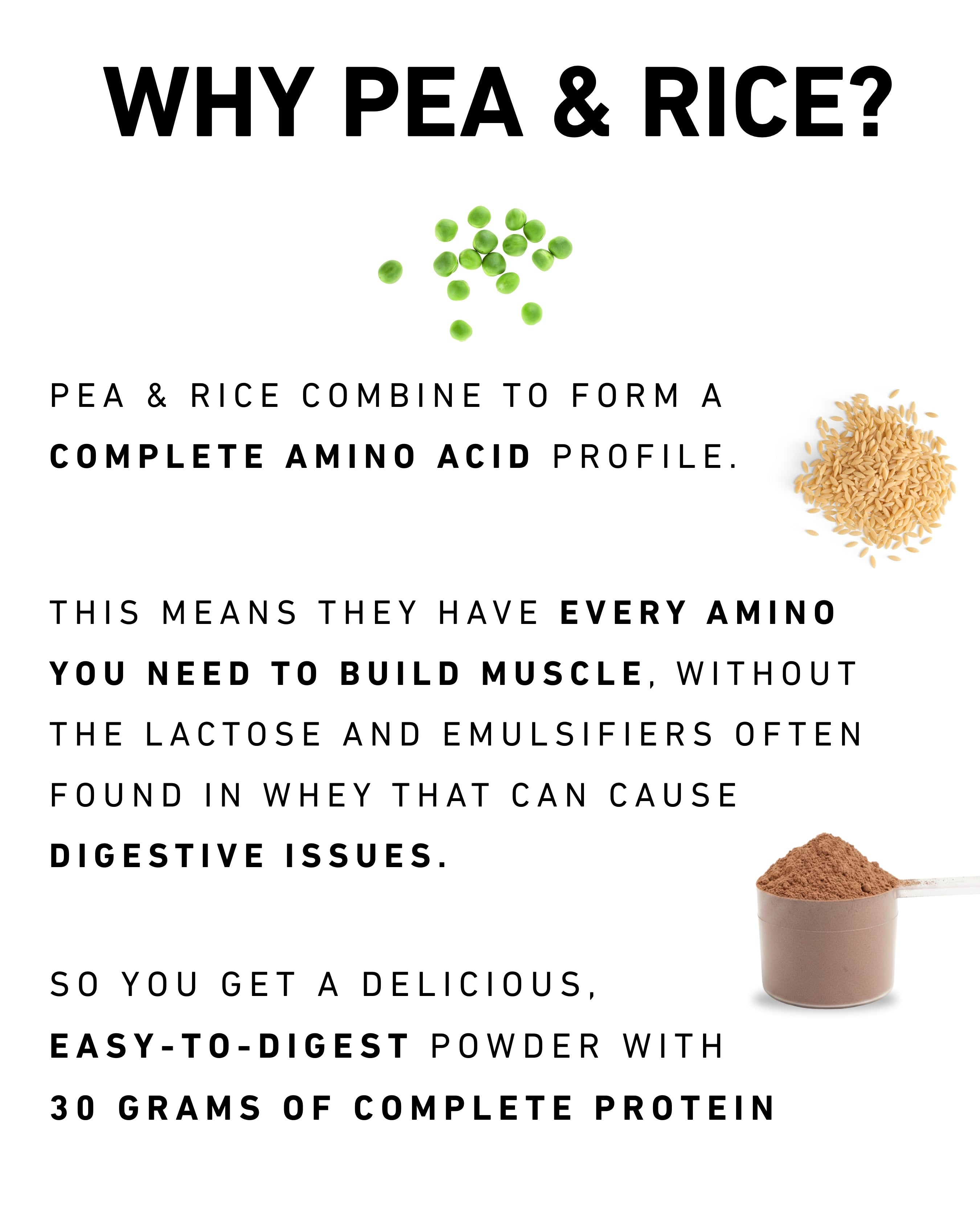 Clean Protein | 30g Complete Protein