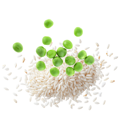 Supports Energy & Lean Muscle*