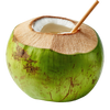 Coconut Water Powder
